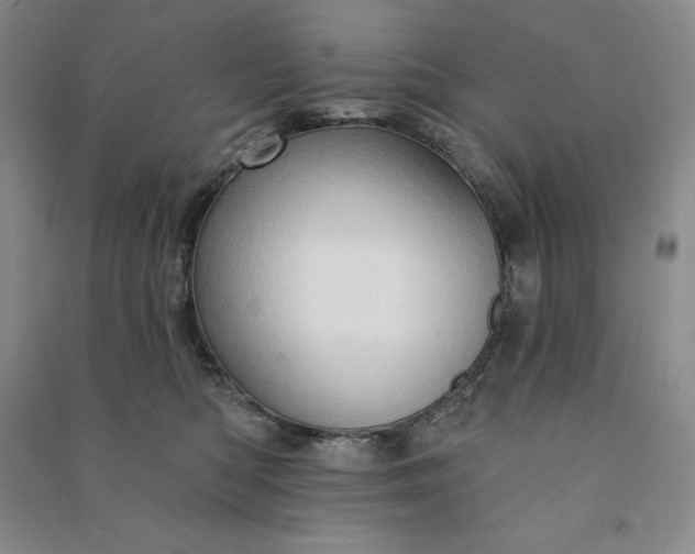 X0000090980422200708161900