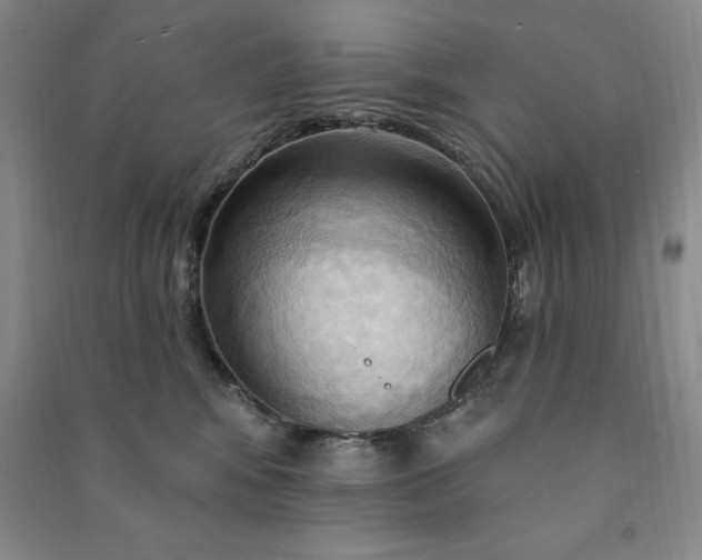 X0000090980424200708161900