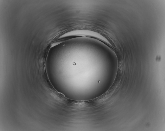 X0000090980428200708161900