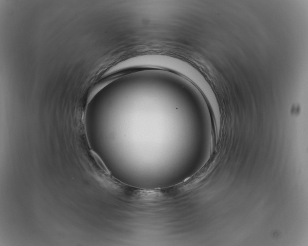 X0000090980429200708161900
