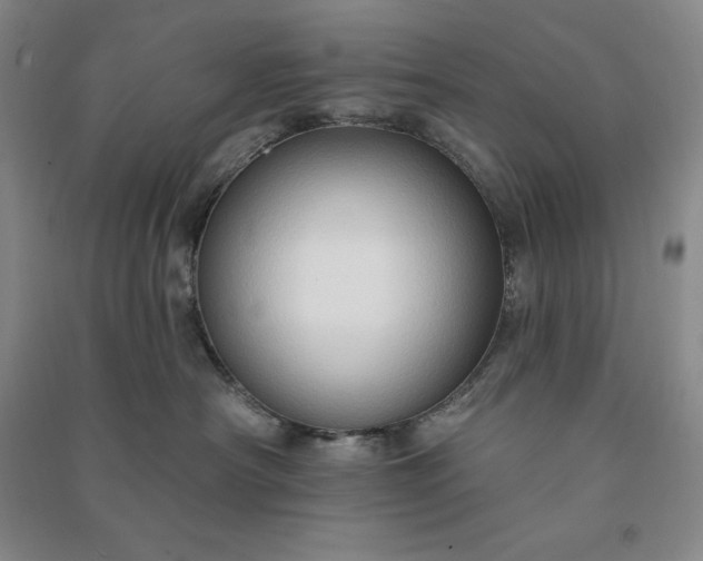 X0000090980430200708161900