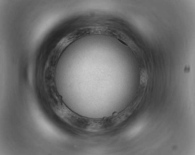 X0000090980431200708161900