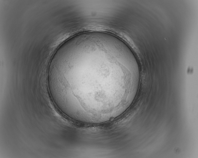 X0000090980433200708161859