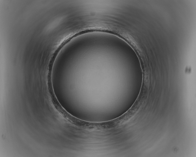 X0000090980434200708161859