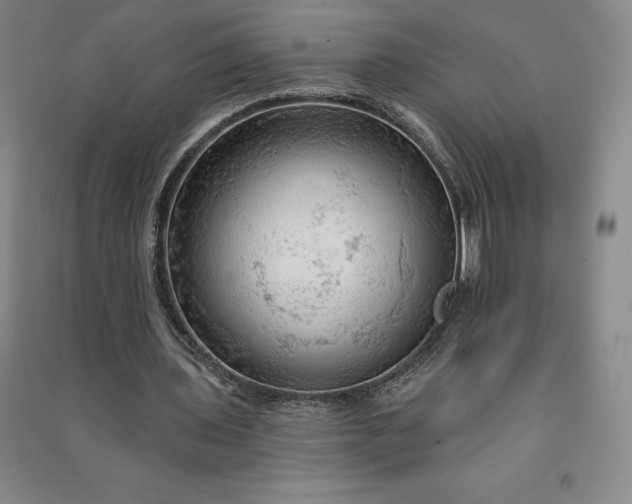 X0000090980435200708161859