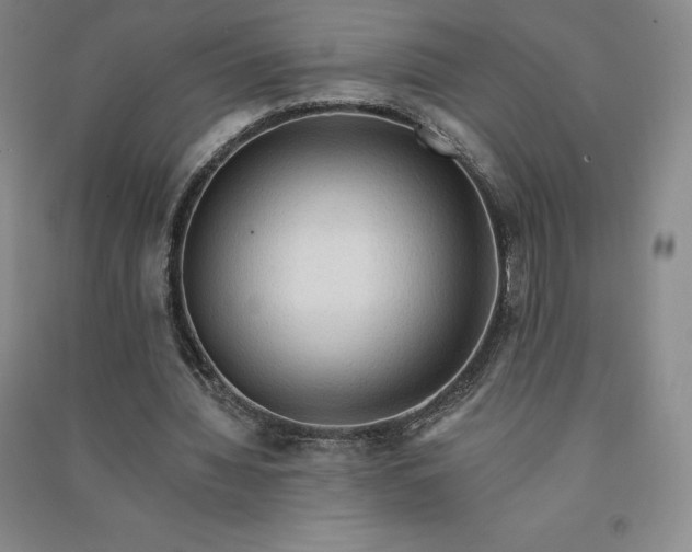 X0000090980436200708161859