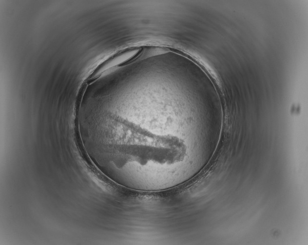 X0000090980437200708161859