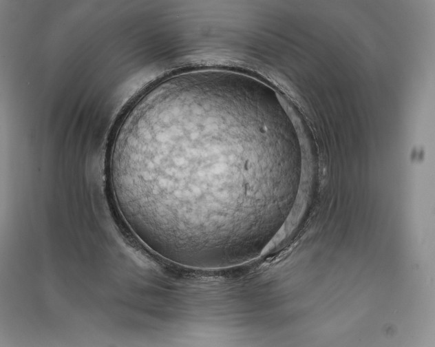 X0000090980438200708161859
