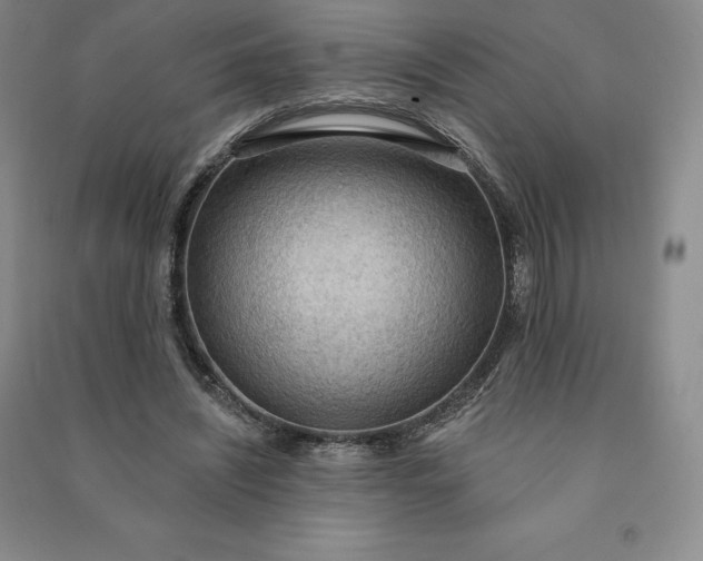 X0000090980444200708161859