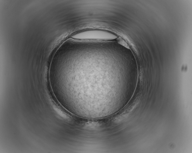 X0000090980445200708161900