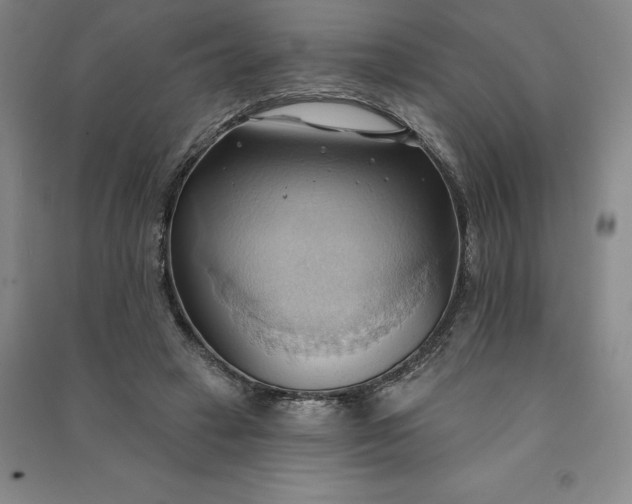 X0000090980449200708161900