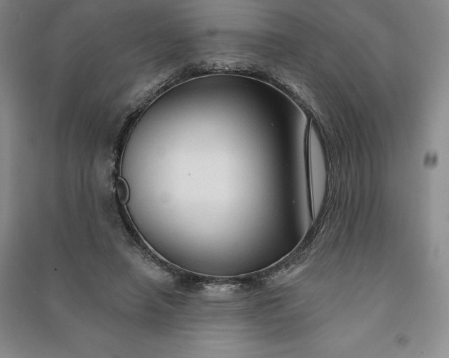 X0000090980450200708161900