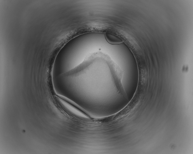 X0000090980451200708161900
