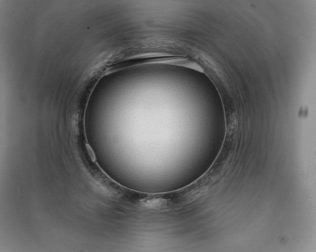X0000090980452200708161900