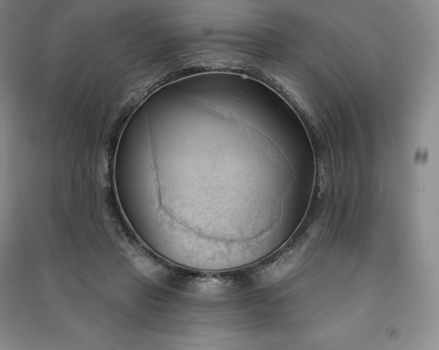 X0000090980453200708161900