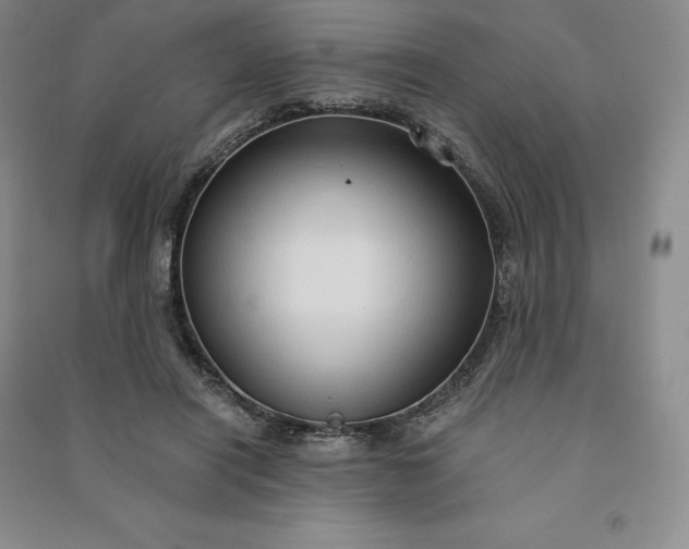X0000090980454200708161900