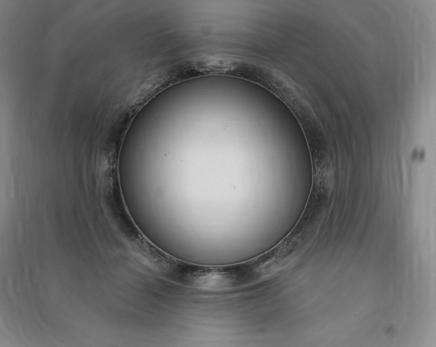 X0000090980460200708161900