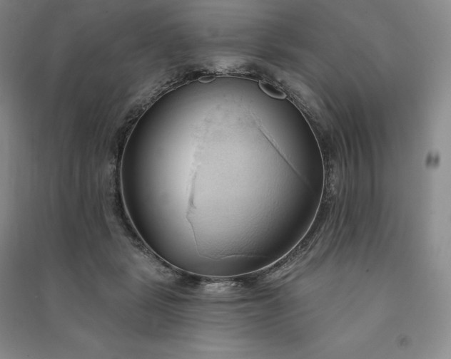 X0000090980461200708161900