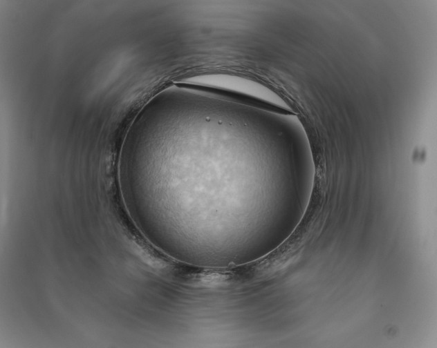 X0000090980462200708161900