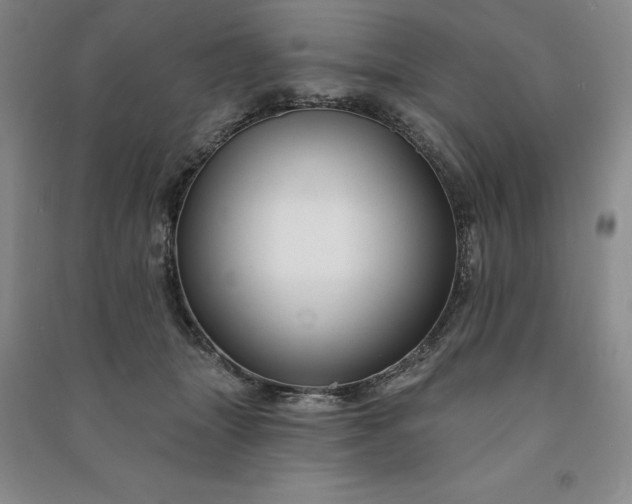 X0000090980463200708161900