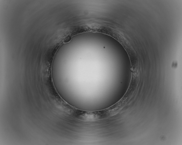 X0000090980464200708161900