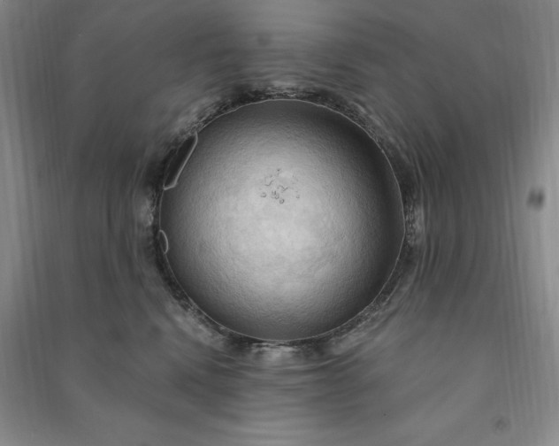 X0000090980472200708161900
