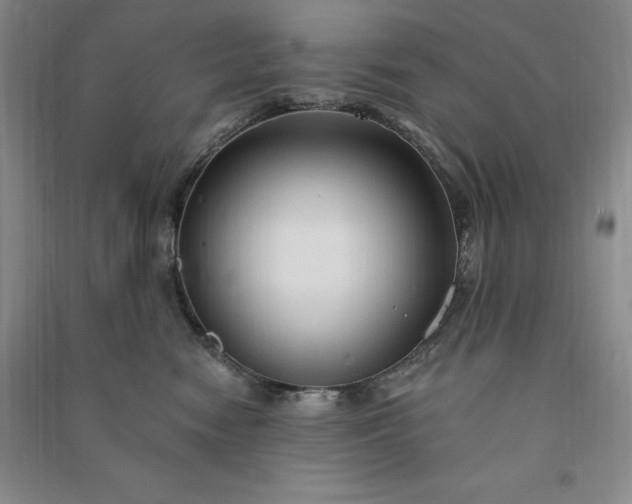 X0000090980474200708161900