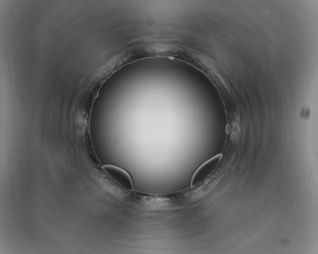 X0000090980476200708161900