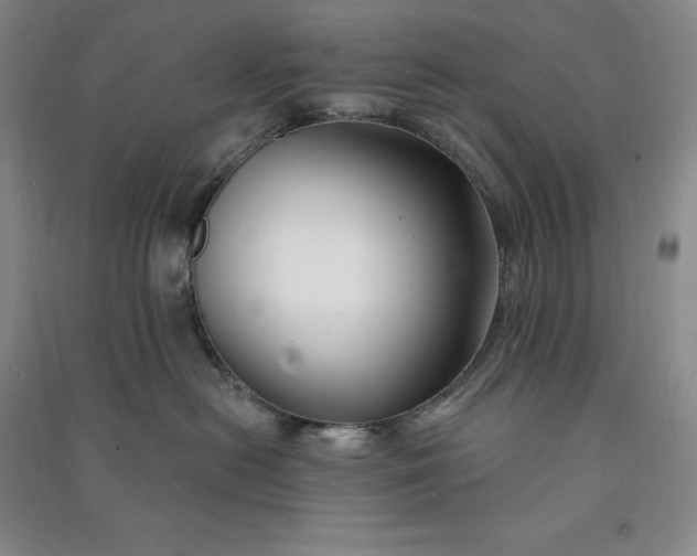 X0000090980478200708161900