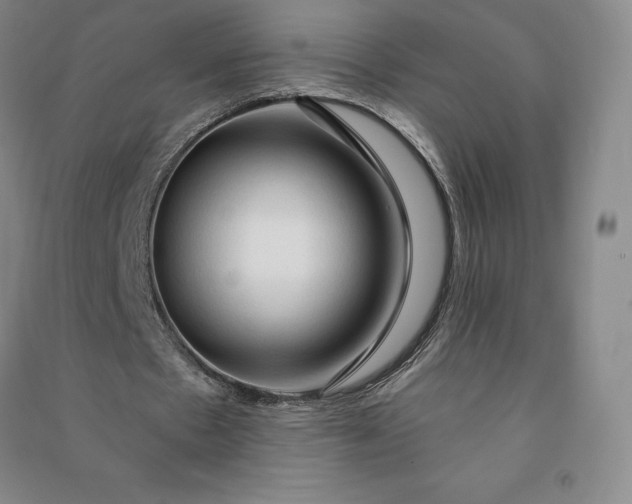 X0000090980481200708161859
