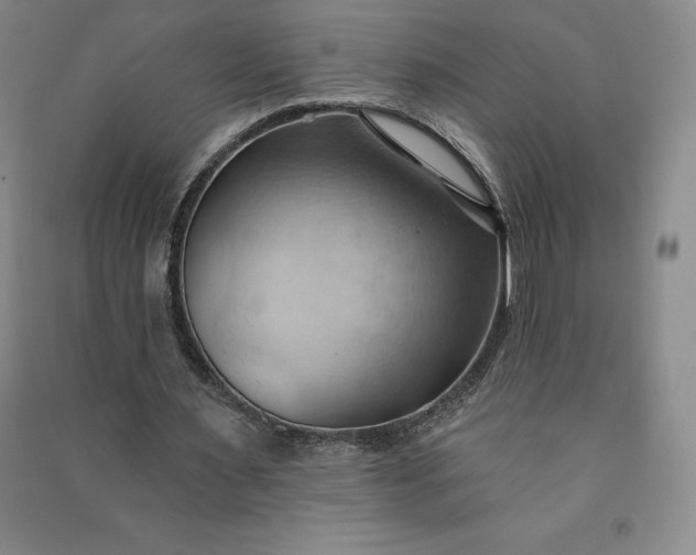 X0000090980483200708161859
