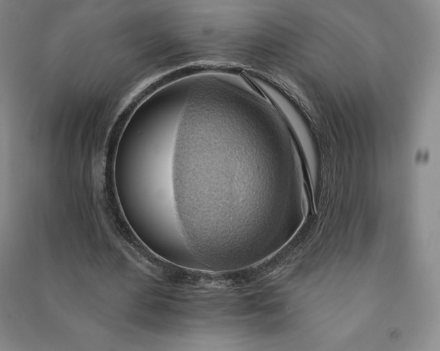 X0000090980484200708161859