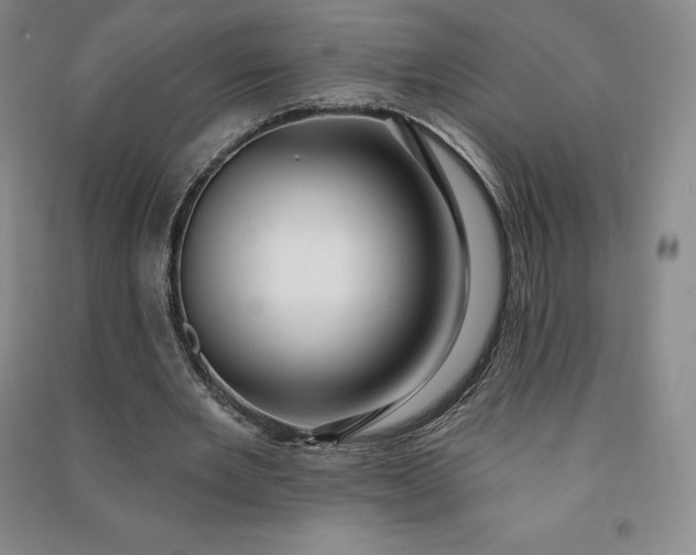 X0000090980485200708161859