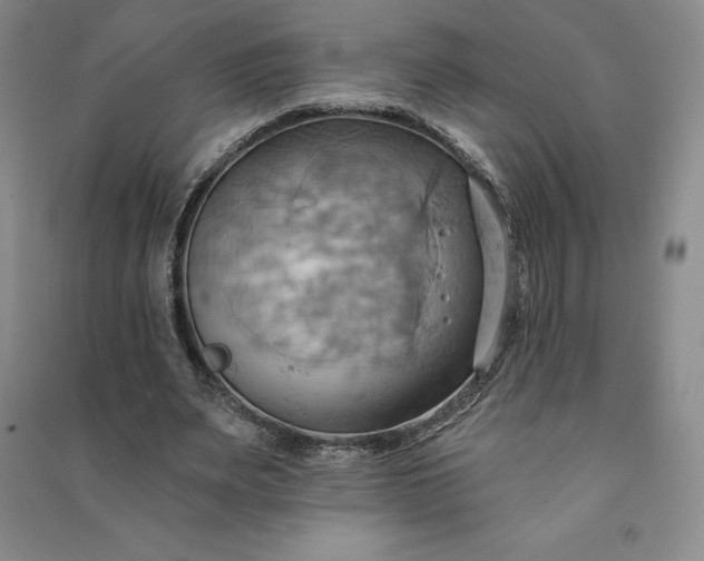 X0000090980487200708161859