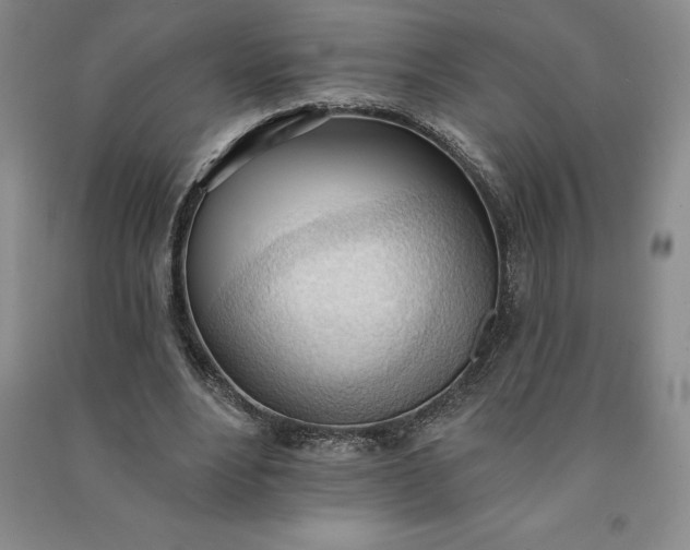 X0000090980488200708161859