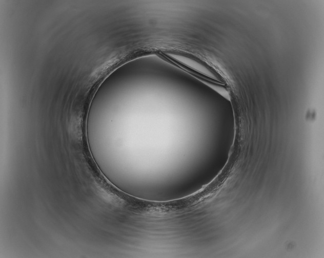 X0000090980489200708161859