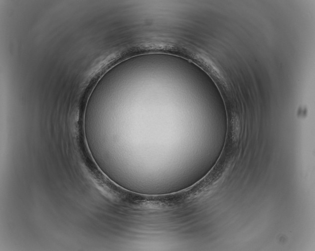 X0000090980490200708161859