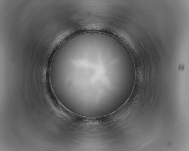X0000090980491200708161859