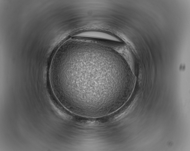 X0000090980493200708161859
