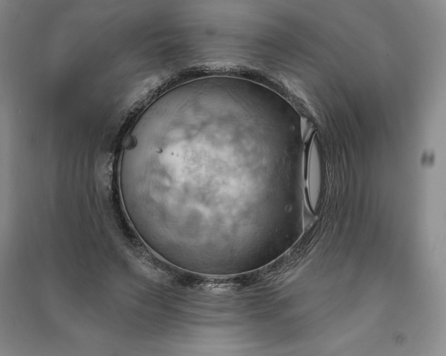 X0000090980495200708161859