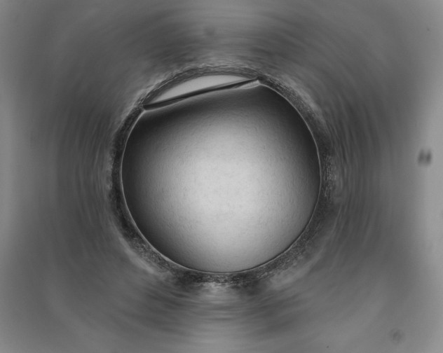 X0000090980496200708161859