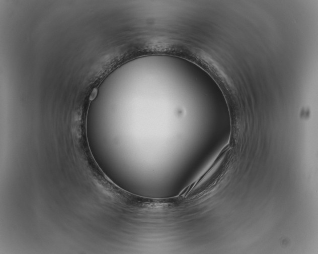 X0000090980497200708161859