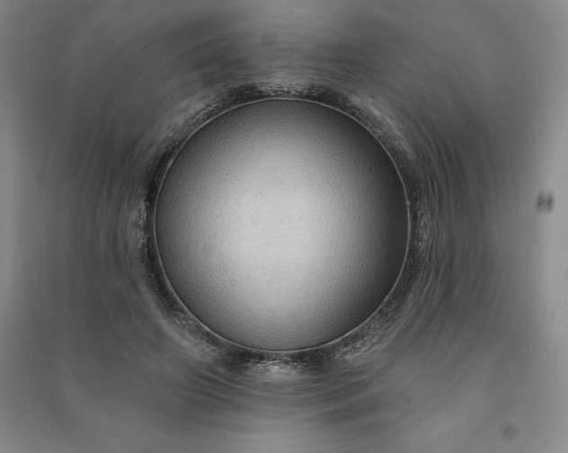 X0000090980498200708161859