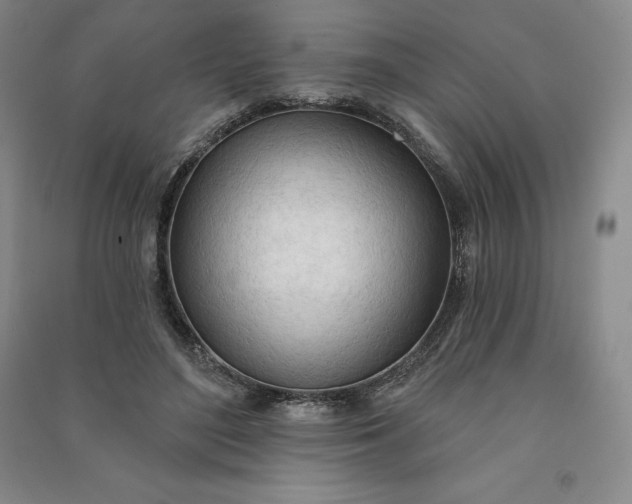 X0000090980500200708161859