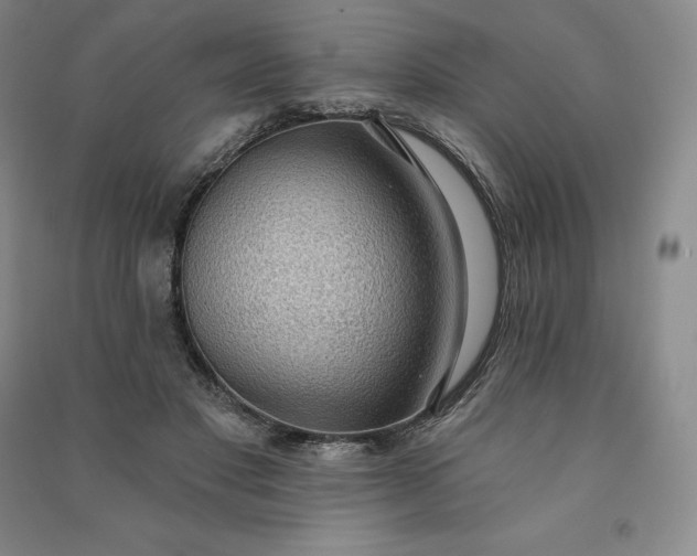 X0000090980501200708161859