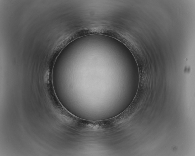 X0000090980502200708161859