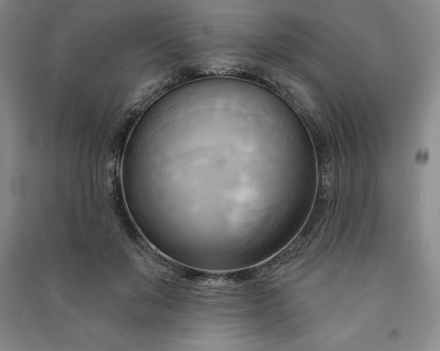 X0000090980503200708161859