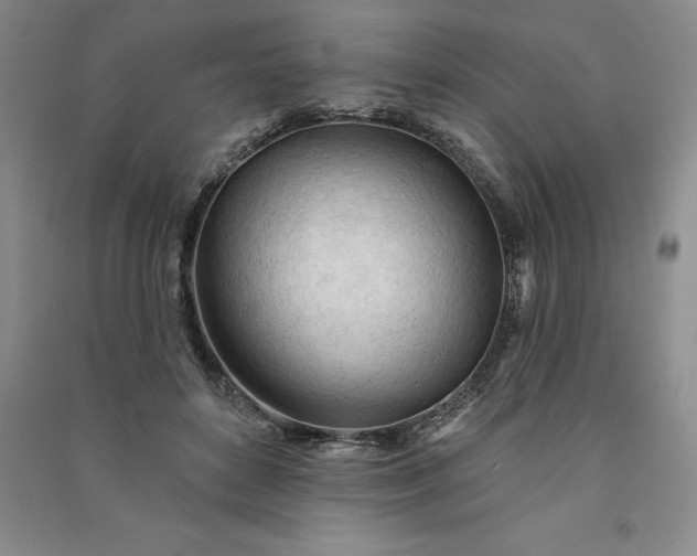 X0000090980504200708161859