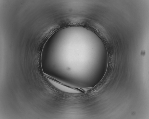 X0000090980505200708161859