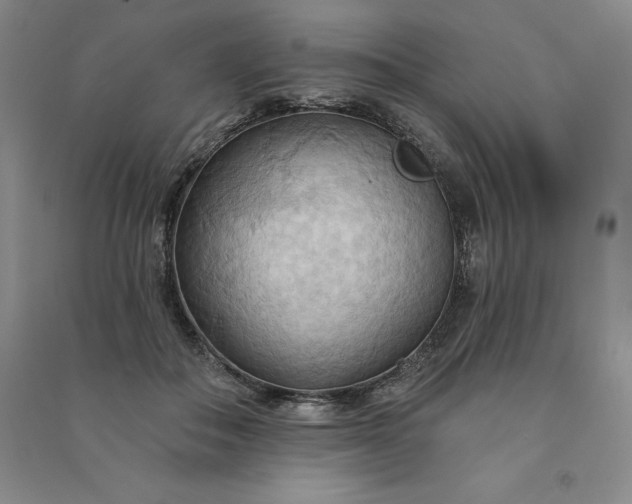 X0000090980506200708161859